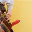 Handyman repair service in Tulsa, OK for home fixes and improvements